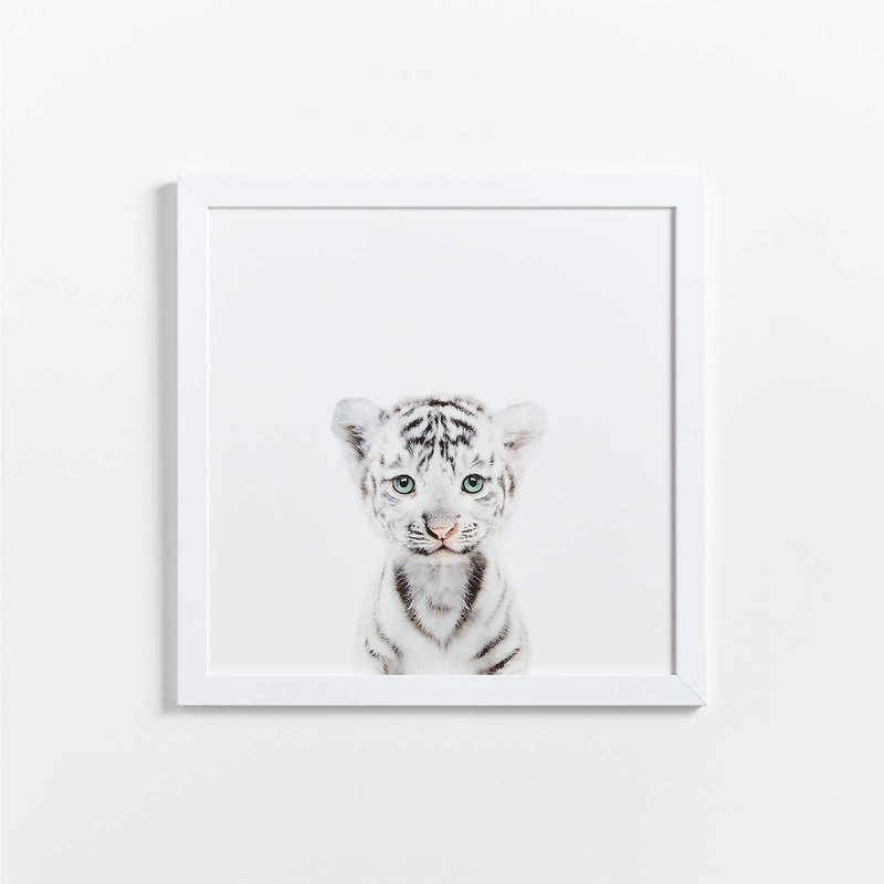 Baby Snow Leopard Framed Wall Art-20″x20″