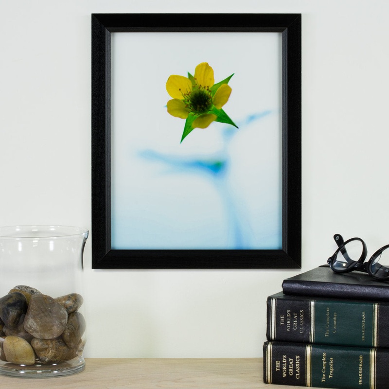 Single Picture Frame Alcott Hill Color: Black Photo Size: 15″ x 22″