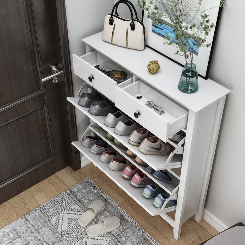 16 Pair Shoe Storage Cabinet Red Barrel Studio