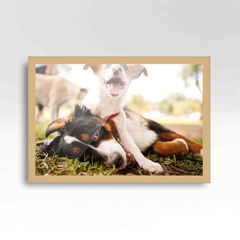 Wood Single Picture Frame in Brown CustomPictureFrames.com Color: White/Brown Picture Size: 12″ x 15″