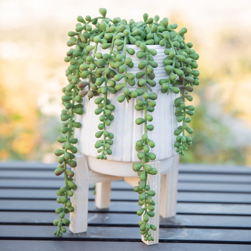 10″ Artificial Succulent in Pot