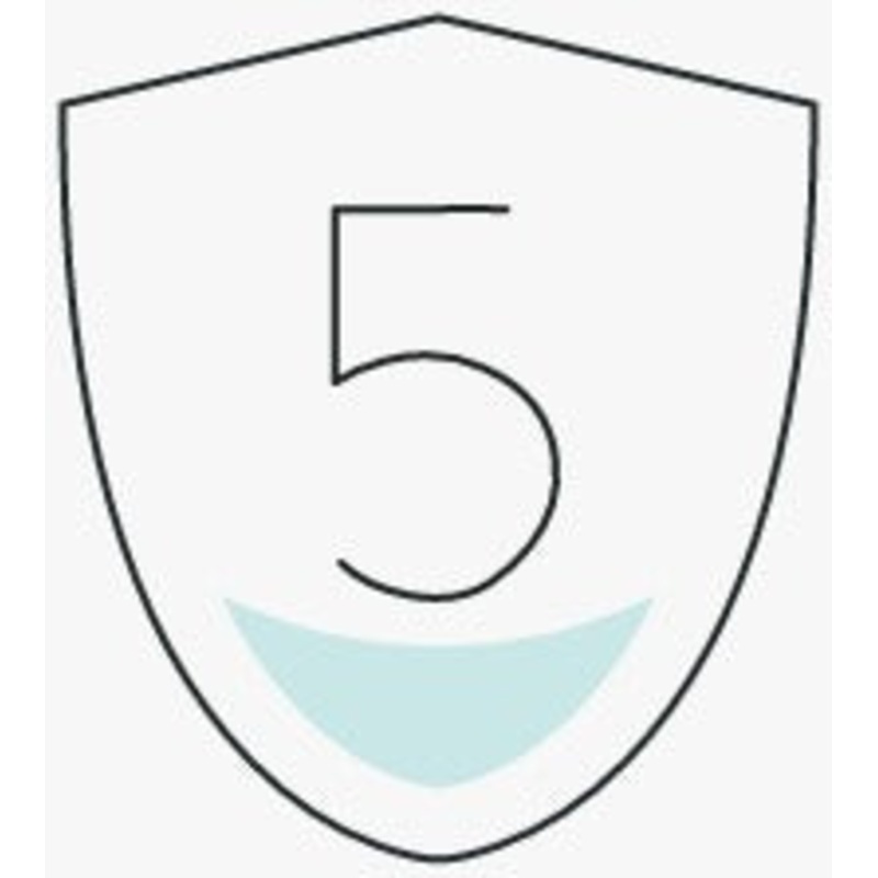 5 year plan