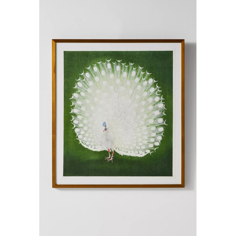 White Peacock Wall Art