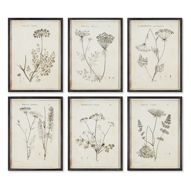 Napa Home and Garden Wild Flower Wall Art