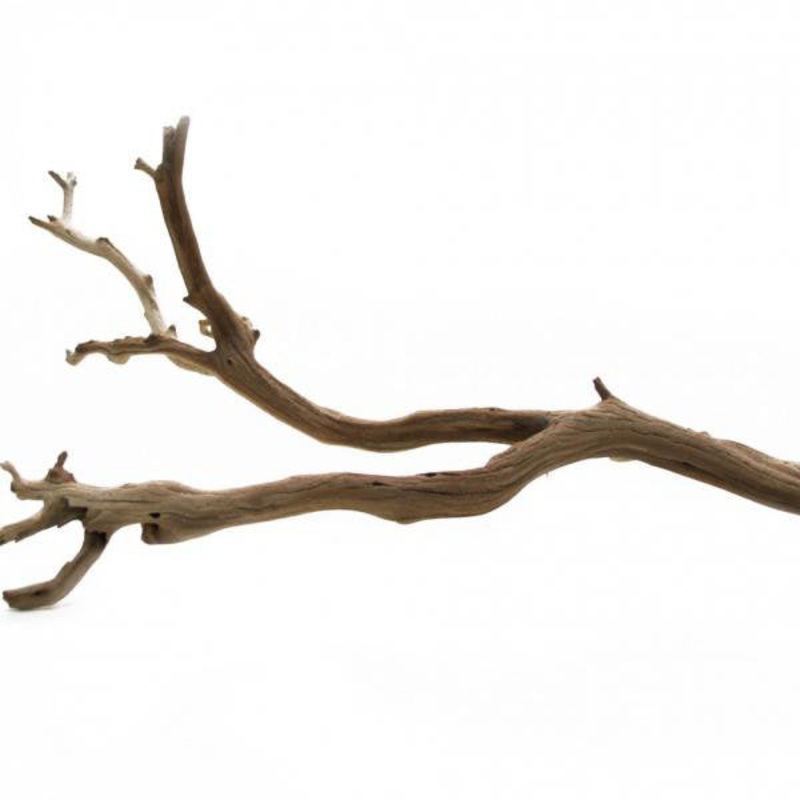 Adolfa Decorative Natural Scuplture Union Rustic Size: 24″ W