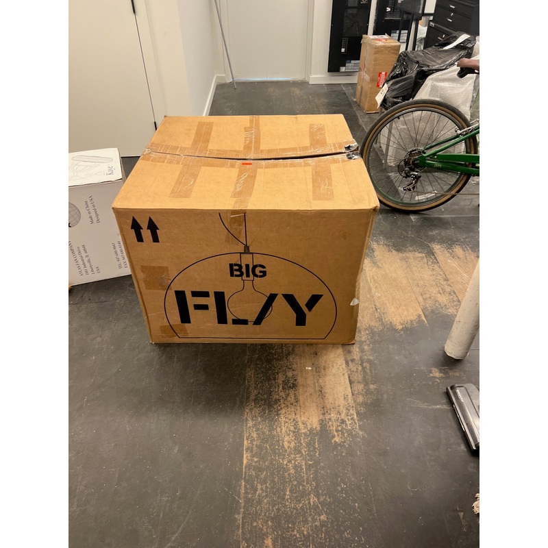 Big Fly Suspension Lamp  ***Moving Sale********NEW IN BOX****Sage