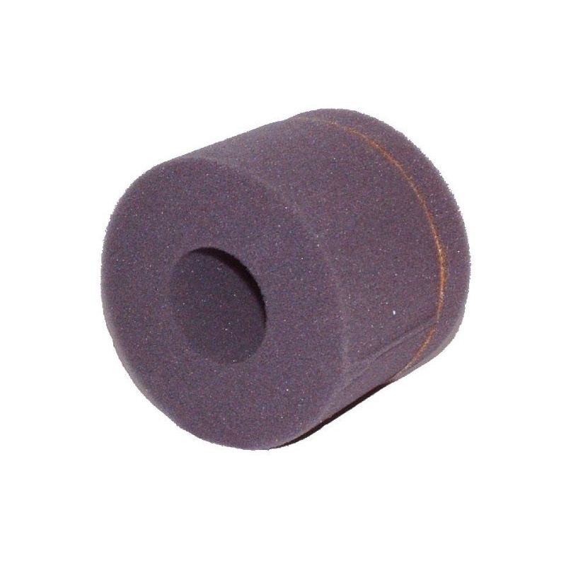 VacuMaid DC1100 Foam Filter