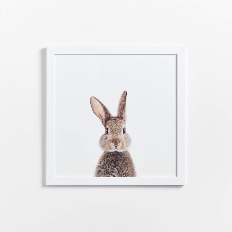 Baby Bunny Framed Wall Art-20″x20″