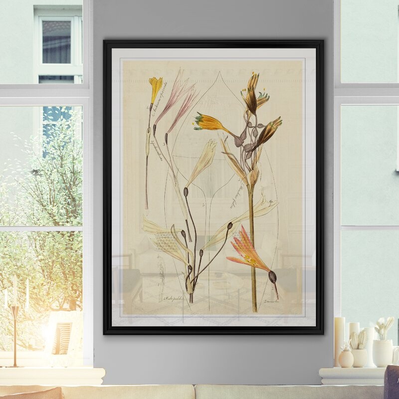 ‘Antique Botanical Sketch VI’ Print on Canvas