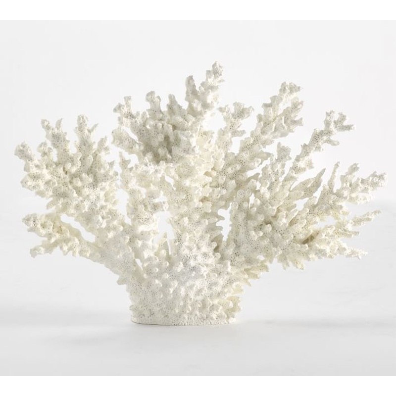 White Spike Coral