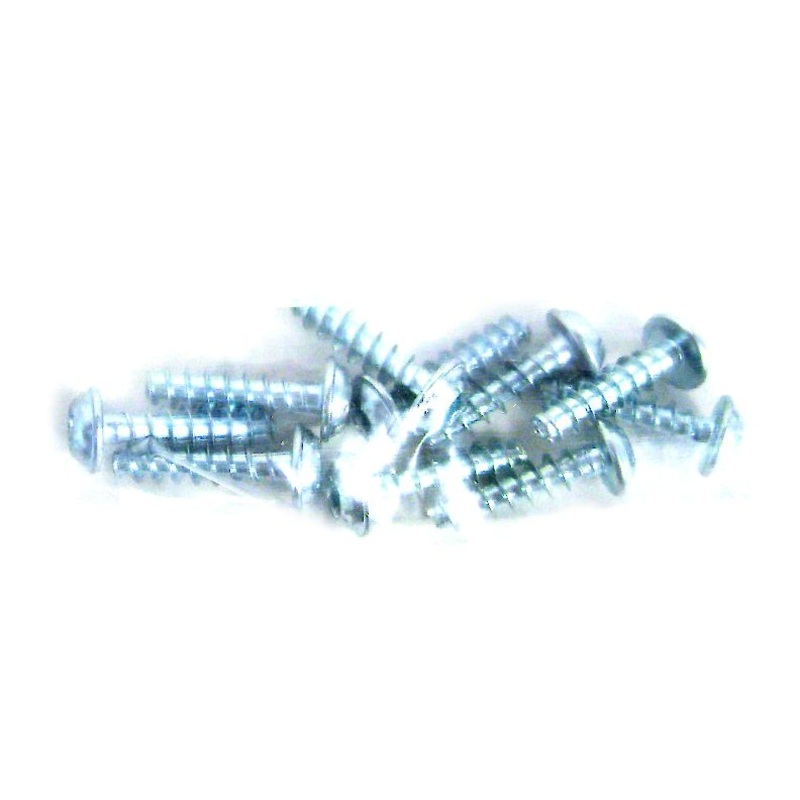 Sebo 01016ER AMTEC Screw 4×16