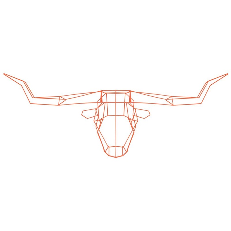 Long Horn Trophy Head