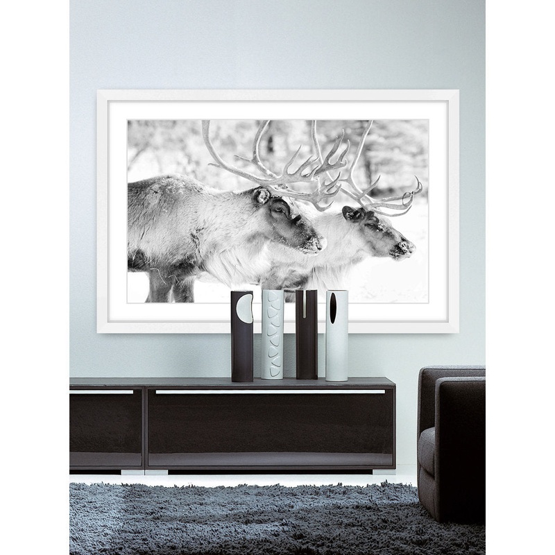 ‘Elk Pair’ Framed Photographic Print on Paper Marmont Hill Size: 30″ H x 45″ W x 1.5″ D