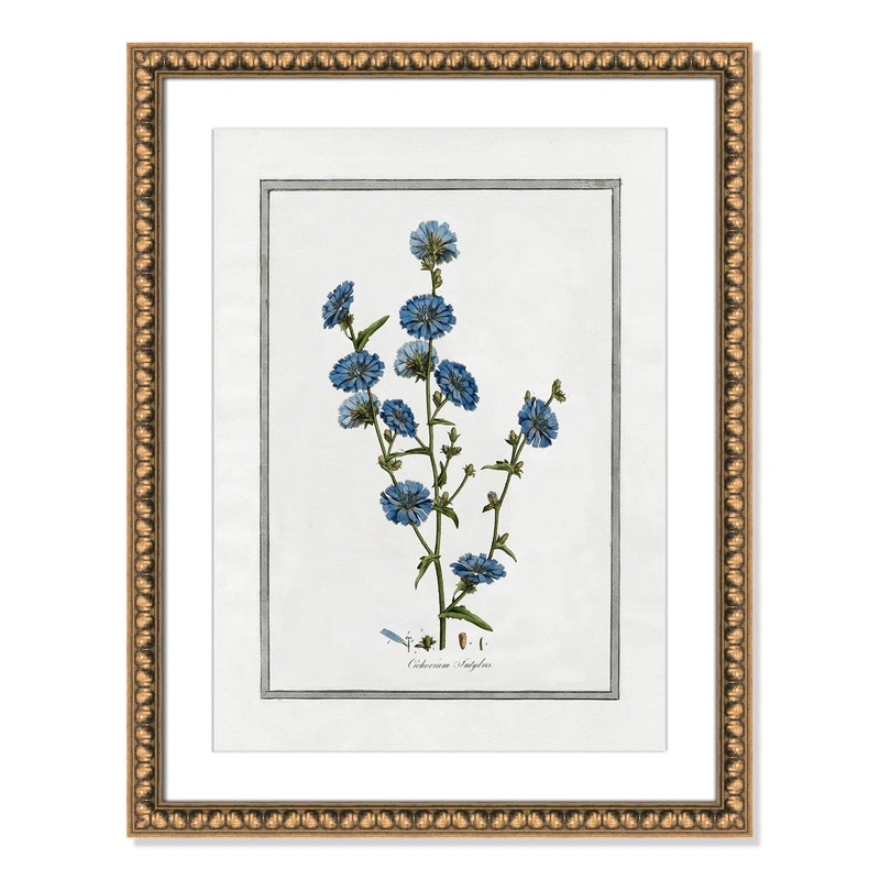 Soft Botanical I