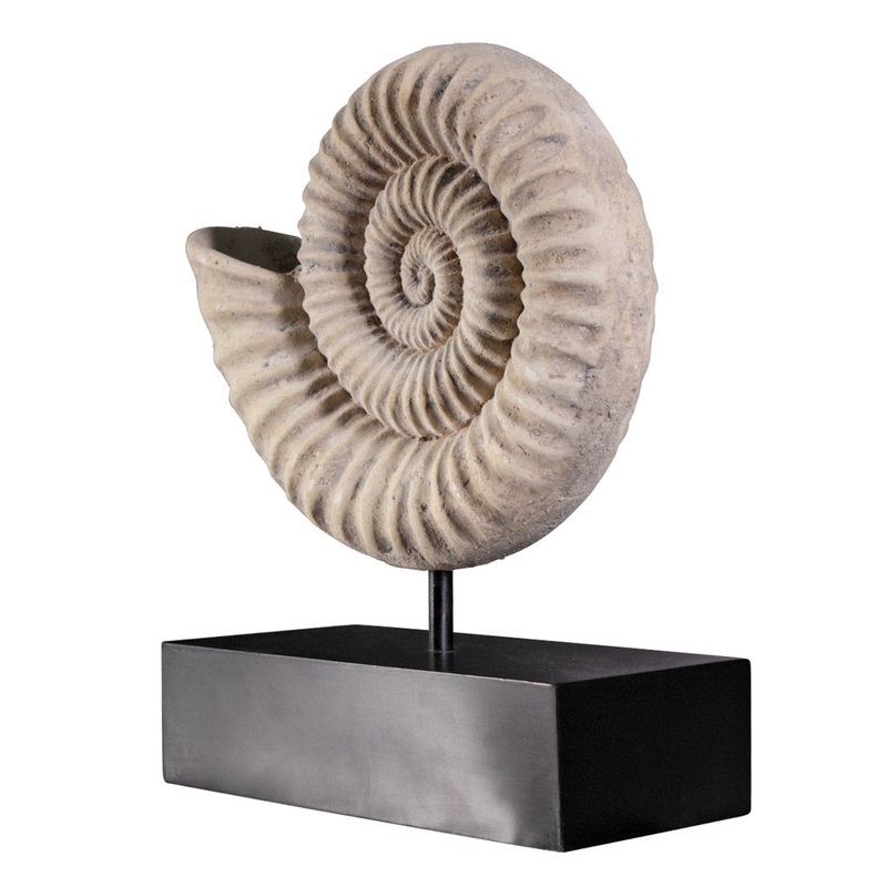 Ammonite Fossil Mount Sculpture Design Toscano