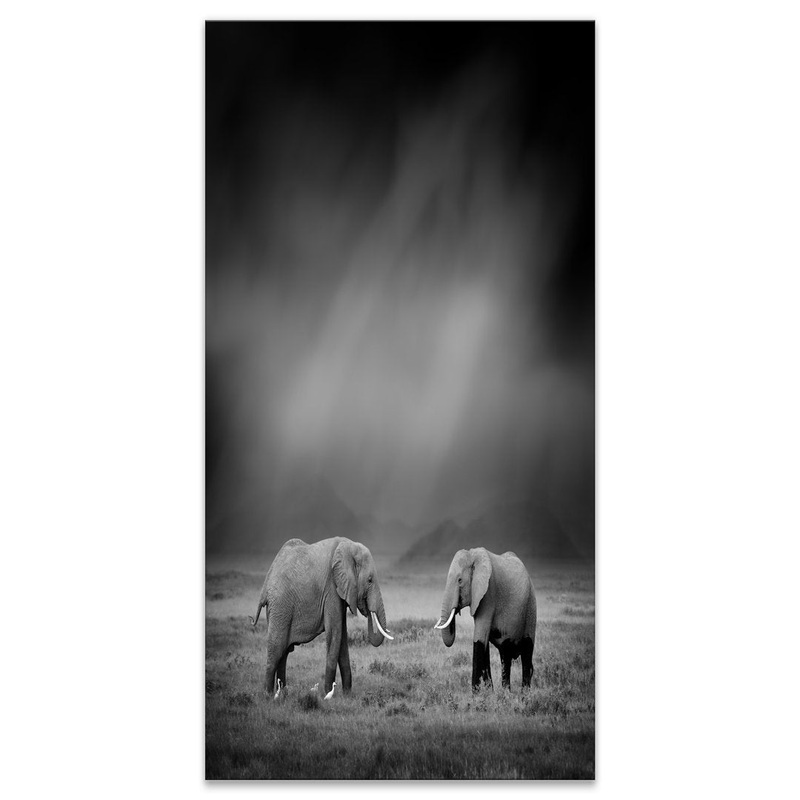 2 African Elephant in Dark Artwork’ Graphic Art Print on Wrapped Canvas East Urban Home Size: 32″ H x 16″ W x 1″ D
