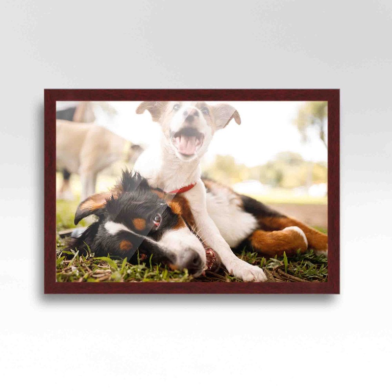 Wood Single Picture Frame in Brown CustomPictureFrames.com Color: Brown Picture Size: 15″ x 30″