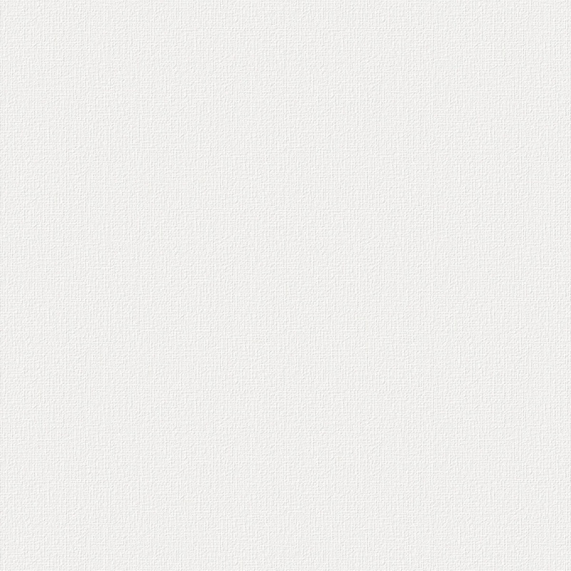Canvas Paintable Wallpaper