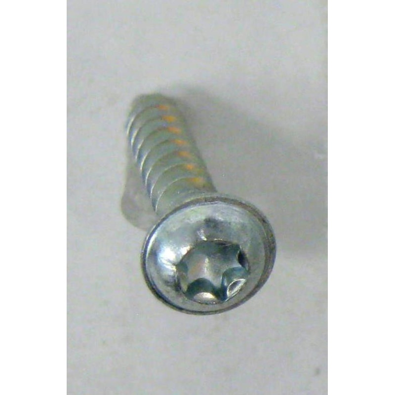 Sebo 01017 Screw 4 x 20-T20